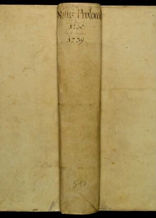 Ratsprotokolle, 1738 Juli 29. - 1739 Juli 26.
