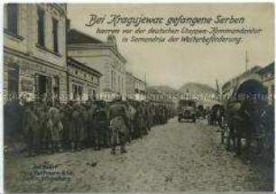 Serbische Kriegsgefangene in Semendria (Serbien)