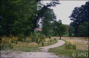 Caputh, Schlossgarten Caputh.