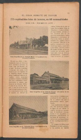 El gran remate de olivos - 275 espléndidos lotes de terreno, en 60 mensualidades