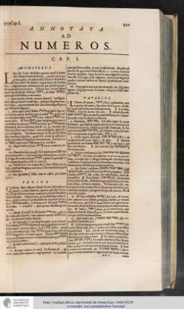 Annotata ad Numeros