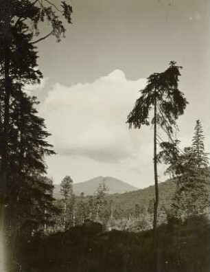 Bayern. Blick zum Großen Arber (1457 m) von Osten