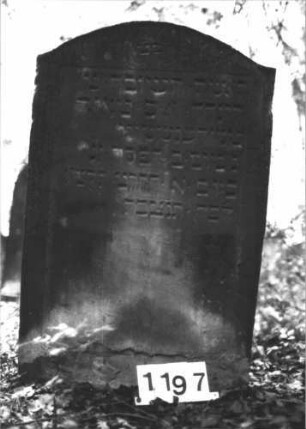 Grabstein 1197 (Index: 99899953) Material: Sandstein Zustand: unten verwittert, sonst gut erhalten Maße HxBxT: 110x68x9 cm Beschreibung: Stele mit Konvexbogenabschluss: Grabstein 1197
