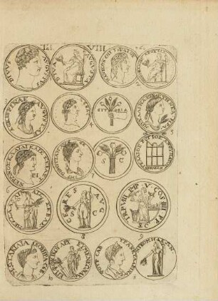Abbildung: Tab. VIII. p. 60