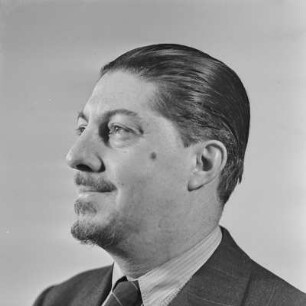 Portrait eines Mannes im Anzug