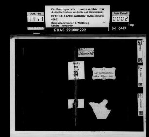 Sanitäts-Kompanie 608