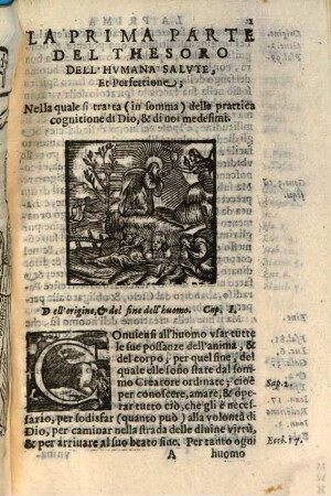 Il thesoro dell'humana saluti