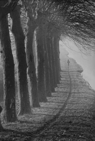 Archivfotografie "frankreich_elsass_colmar_7267"