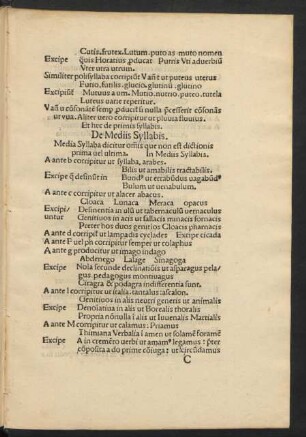 De Mediis Syllabis.
