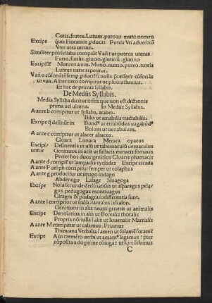 De Mediis Syllabis.