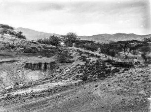 Savanne : Blick über eine Savanne. Im Hintergrund ein Gebirgszug