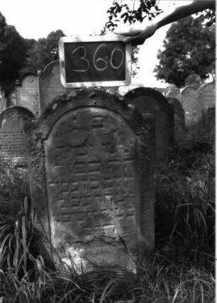 Grabstein 360 (Index: 100103028) Material: Sandstein Zustand: stark verwittert, abgeblättert, teilweiser Textverlust Maße HxBxT: 88x48x11 cm Beschreibung: Stele, eingezogener Rundbogenabschluss, Schriftfeld eingetieft: Grabstein 360