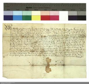 Wolfgang [Schutzbar gen. Milchling], Abt von Fulda, belehnt den Dechanten und das Kapitel des Stifts Hünfeld mit einem Gut in Limpurg