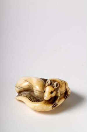 Eichhörnchen auf Pilz