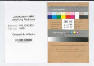 Entnazifizierung Wilhelm Oestereich, geb. 22.03.1898 (Koch)
