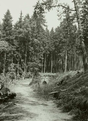 Osterzgebirge. Bobritzschtal. Grabentour, Mundloch (Austritt) der Reinsberger Rösche beim 4. Lichtloch des Rothschönberger Stollens