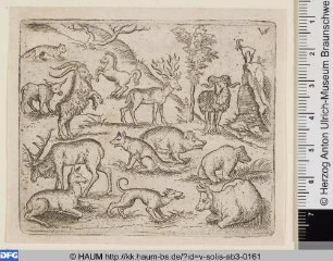 Große Tiere