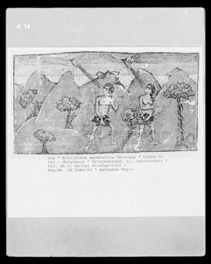 Codex Gr. 747 - Oktateuch — Gottes Strafgericht, Folio fol. 24 v