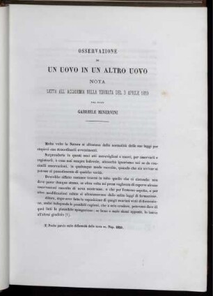 Osservazione Di Un Uovo In Un Altro Uovo