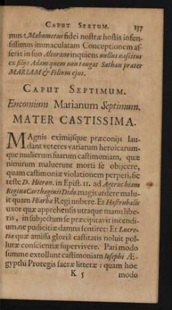 Caput Septimum. Encomium Marianum Spetimum. Mater Castissima.