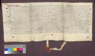 Erneuerung von Zinsen und Gütern des Domstifts Basel zu Tüllingen.