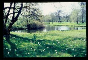 Chlttbg. Schlosspark 30.4.67.