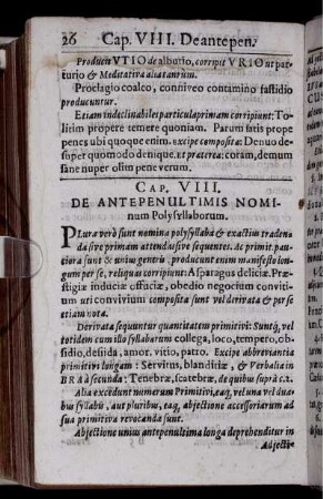 Cap. VIII. De Antepenultimis Nominum Polysyllaborum