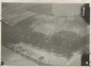 Korbiniani-Holz bei Schleißheim (800 m)