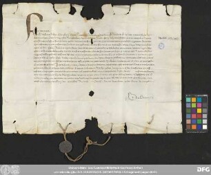 [Halle (Saale), Universitäts- und Landesbibliothek Sachsen-Anhalt, Morbio 29 (12)]