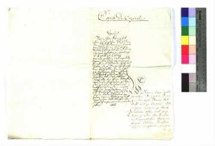 König Sigmund erteilt allen und jeglichen Präsiden, Visitatoren und anderen Personen des wegen Untersuchung des Benediktiner Ordens gehaltenen Provinzialkapitels zu Konstanz einen Geleitsbrief.