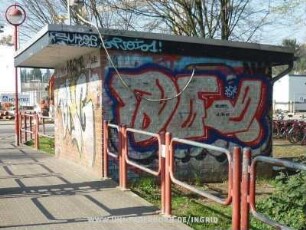DFV