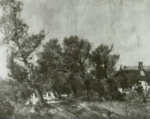 Dorfstraße in Ahrenshoop