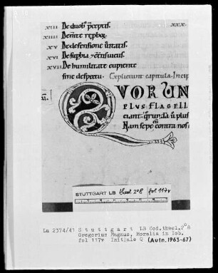 Gregorius Magnus, Moralia in Job — Initiale Q(uor), Folio 117verso