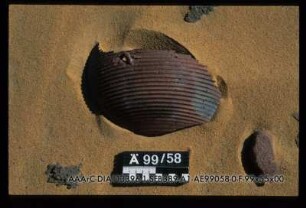 99/58