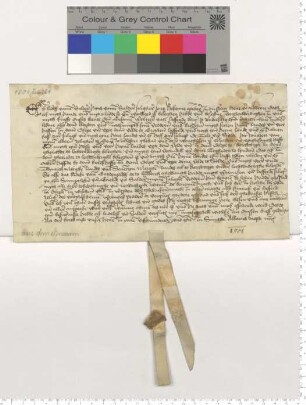 Ludeleff van Saldere, des verstorbenen Hans van Salderen Sohn, belehnt den Lübecker Bürger Werner van Lafferde mit zahlreichen Gütern.
