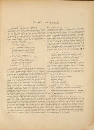 Schrifttafeln zur Erlernung der lateinischen Palaeographie, 2