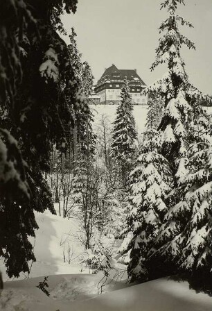 Altenberg (Erzgebirge), Blick zum Berghof Raupennest, Winteraufnahme