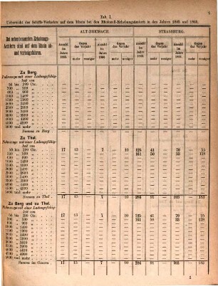 Allgemeiner Jahres-Bericht. 1865/66