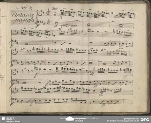 Aria: "Hò un visetto delicato" in D-Dur