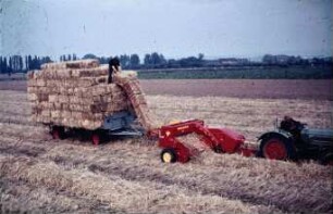 Fotografie: Hochdruckpresse, Ballenkette, Strohbergung, Ladeschurre, Zweiachsanhänger