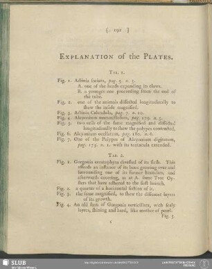 Explanation of the Plates