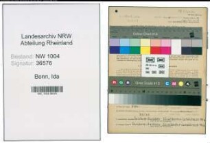 Entnazifizierung Ida Bonn , geb. 02.06.1905 (Kauffrau)