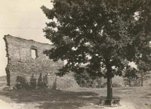 Elsterberg, Ruine der Burg Elsterberg, Innerster Hof