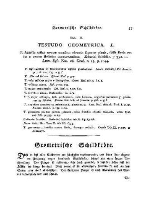 Tab. X. Testudo Geometrica : Geometrische Schildkröte