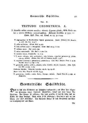 Tab. X. Testudo Geometrica : Geometrische Schildkröte