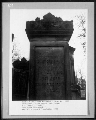 Grabstein von Julie Honig (geborene Levy) (gestorben 1880.11.03)