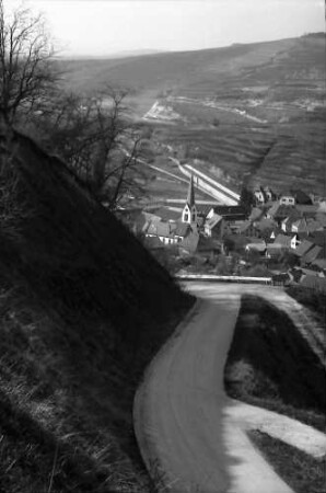 Bickensohl: Umgelegte Weinberge mit Blick nach Bickensohl