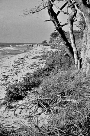 Darß, Weststrand