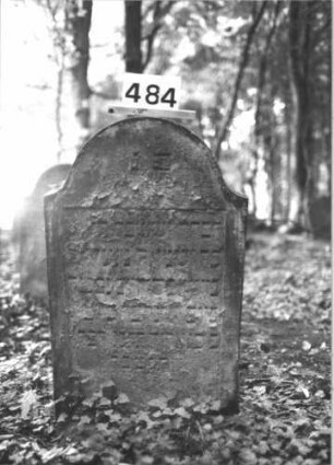 Grabstein 484 (Index: 99900935) Material: Sandstein Zustand: fast völlig verwittert Maße HxBxT: 93x55x10 cm Beschreibung: Stele mit Konvexbogenabschluss: Grabstein 484