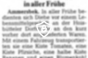 Die Diebe kamen in aller Frühe